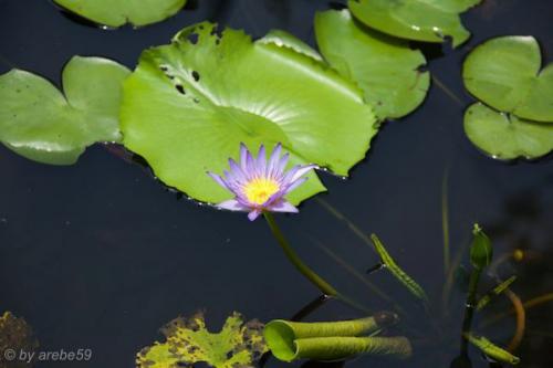 vn_september_15_00041